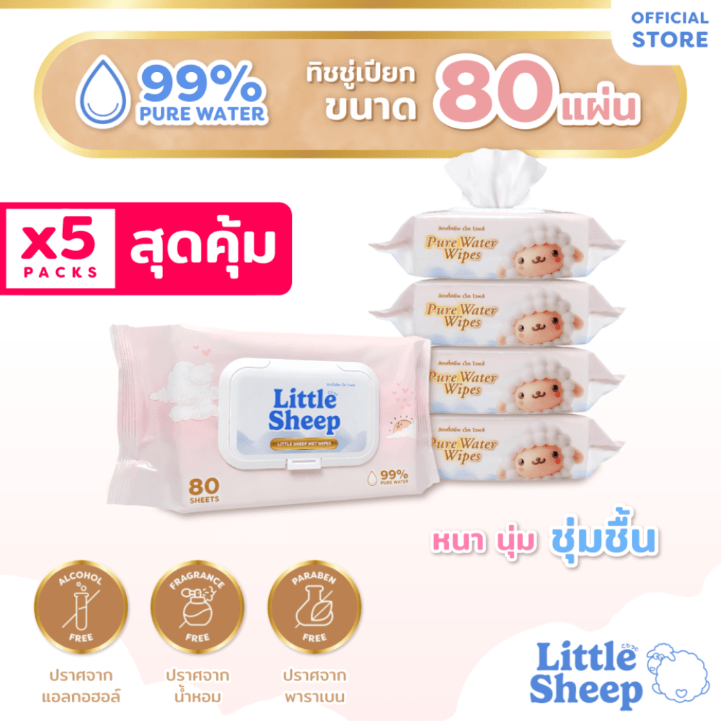 Pure Water Wipes ขนาด 80 แผ่น x5 แพ็ก